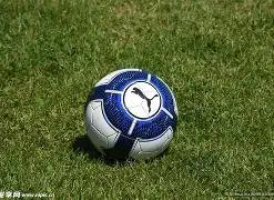 费德勒访谈,揭露重磅消,年美网恐因,星际娱乐,星际娱乐官网,星际娱乐官网玩家首选