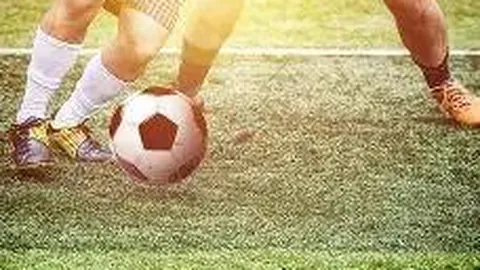 促进高质发展，优化税收生态，多方位实现突破