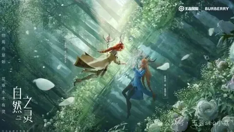 巴西乙第6胜4负战况：数据基本面分析反差显著